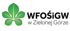 wfosigw logo 300px