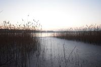 Jezioro Szarcz zimą fot. Jakub Stawiarski