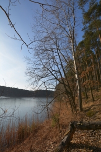 Nad jeziorem Piecniewo fot. Katarzyna Kopka